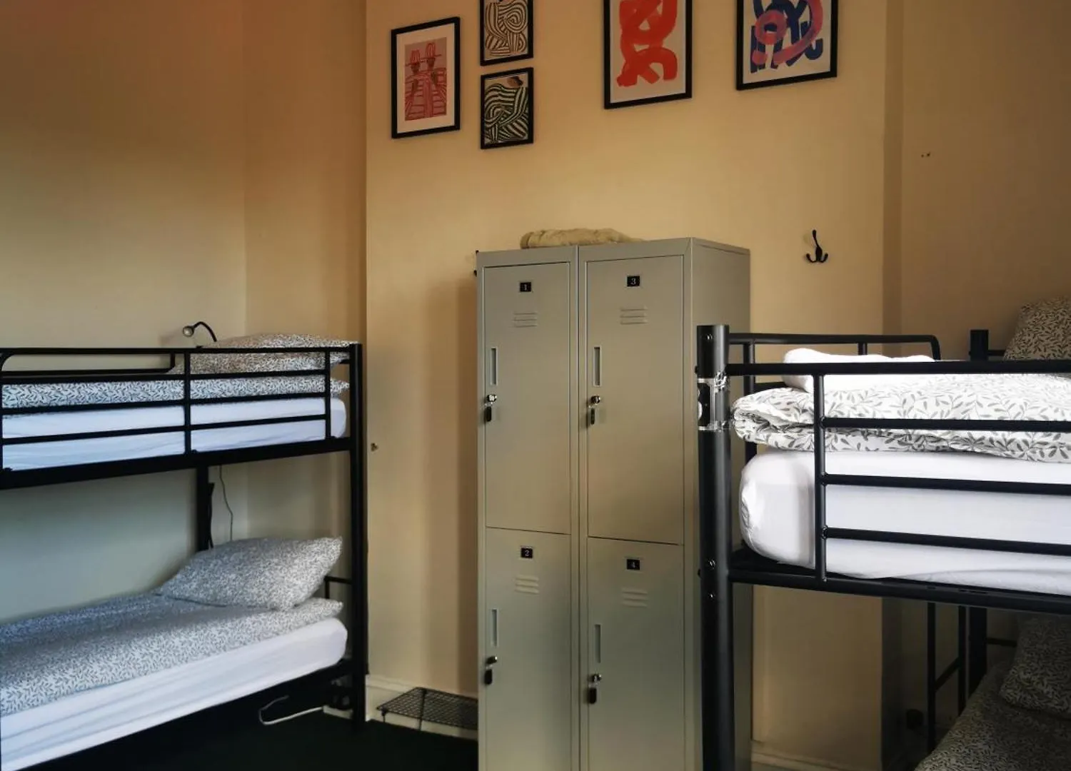 Botanic Avenue Hostel Less Than A Mile From The City Centre Belfast
